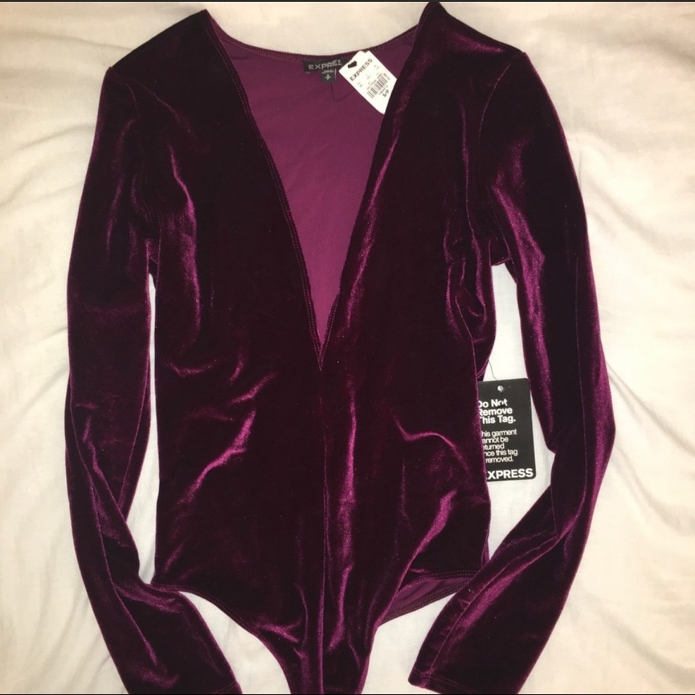 Express Velvet Long Sleeve Bodysuit NWT